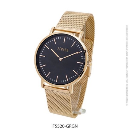 Reloj Feraud F5520 (Hombre)