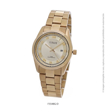 Reloj Feraud F5548G (Hombre)
