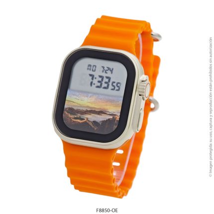 Reloj Feraud F8850 (Unisex)
