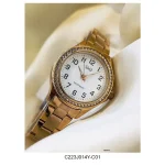 Reloj Q&Q C223J014Y